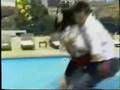 videos de Gunz e Assembly
