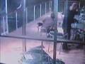 Stupid-robbery-ever
