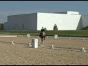 SHN 3rd Level Open, See Me In Rome++/ SHN 3rd Level Open, See Me In Rome++/
