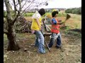 trogloditas