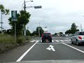 ひまわりの道