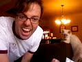 How to vacuum a cat How to vacuum a cat