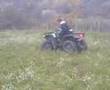 arctic cat 650 zeljko voznja po detelini