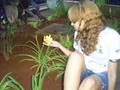 videos de tata.wmv