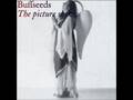 Buffseeds - Barricade