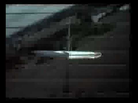 magpie hits plane