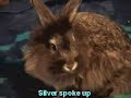 Watership Down Watership Down