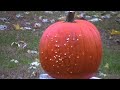 Hey everyone, here's video from us to you wishing you all on the deliciously scary Holiday , a Happy Halloween! -CAT HELP US OUT ON SWAGBUCKS! www.swagbucks.com