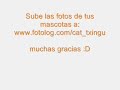 sube las fotos de tu mascota www.fotolog.com/cat_txingu