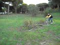 Alubias bici 2