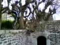 videos de vtt trial st paulien