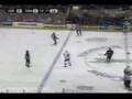 David Koci - GRiSHoCKEY