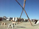 Homeslice Erection - Burning Man 2008
