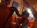 River flows in you - Yiruma - harp / harpe