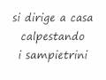 poesia  tu in scena dall'amore