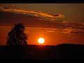 Anders Johansson Vargen - Fame Factory visor - free flv video @ vwatch.tv
