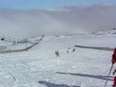 Ski Pepa El Colorado