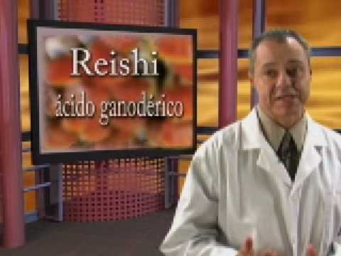 ganoderma lucidum gano cafe