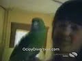 تحيات ابو فراس القارحي