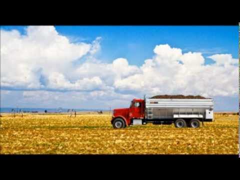 how to grow idaho potatoes