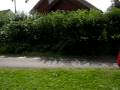 videos de mobbing i skolegården