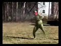 Go Ninja! Go Ninja!