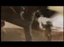 Cognition - Ghost Recon: Advanced Warfighter 2
