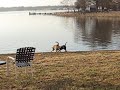 Dixie and Jack at the lake 1