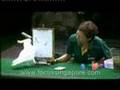 Jurong Bird Park -- The Avian Area