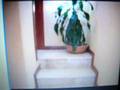 videos de Filosofía - FERLOP