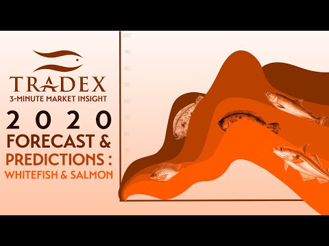 3MMI - 2020 Forecast & Predictions Part 2 - Expecting the unexpected: Price Trends for Haddock, Tilapia, and Salmon