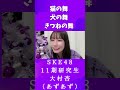 SKE48 11期研究生 大村杏 猫の舞犬の舞きつねの舞 #shorts