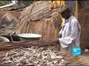 Lake Chad under threat فرانس