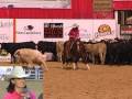 2009-NCHA-Super-Stak