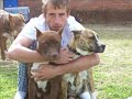 Killer Pitbulls Killer Pitbulls