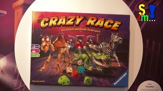 Erklär-Video: Crazy Race