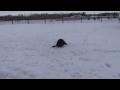 720p.mov