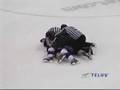 Marco Scandella vs Chris Doyle