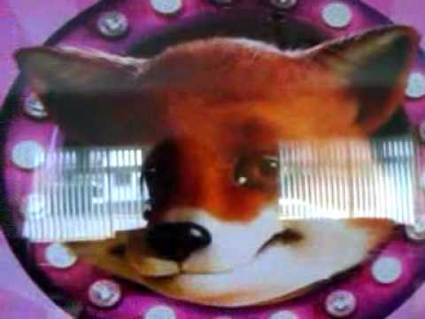 foxy bingo