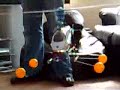 Align T-Rex 450SE small room hover indoors