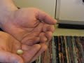 Eggin' It 2