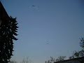 Helicopter swarm at Edens Expressway