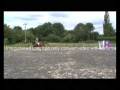 Dressage Schoolmistress
