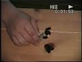 Webman - Part 1 of Whole Movie Webman - Part 1 of Whole Movie