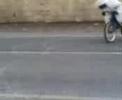 Reborn Racing - Breemo Supreemo