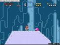 Superer Mario World: Arctic Refuge