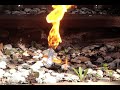 firebomb!