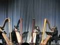 videos de Serbian harp quartet 8 of 8