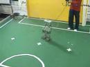 Humanoid Robot Omnidirectional Walking