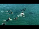 Relax & enjoy New Zealand